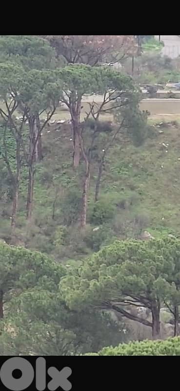 2300m land zone 25/50 Qobeih Suitable for Touristic or Bangallows 7