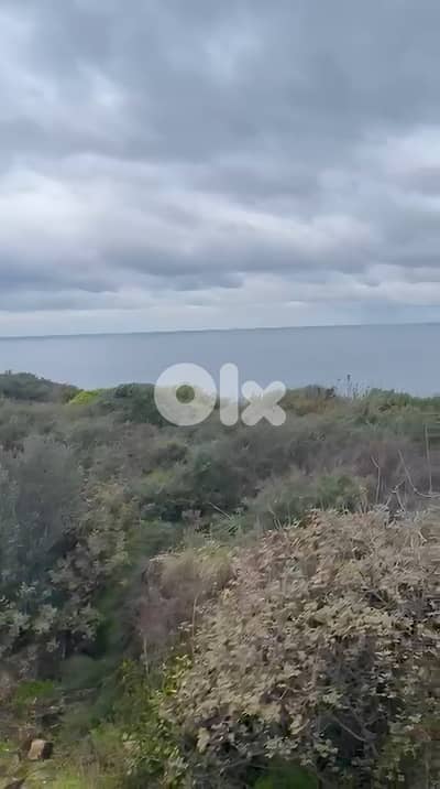 Land for sale in Berbara/ Seaview
