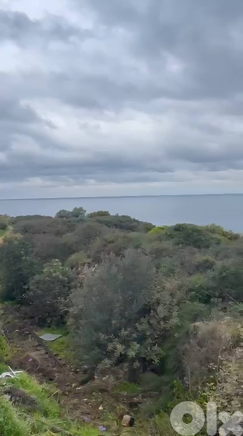 Land for sale in Berbara/ Seaview 3