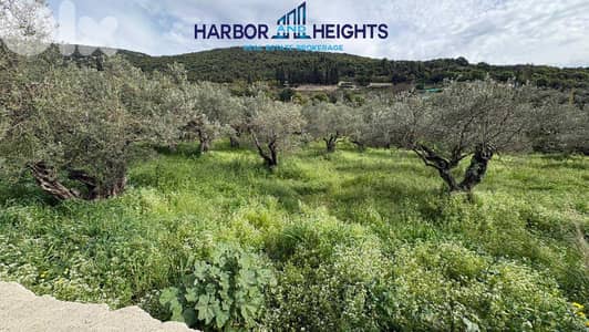Land for Sale in Batroun - أرض للبيع في البترون