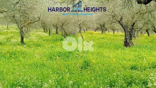 Land for Sale in Ain Kfaa - أرض للبيع في عين كفاع