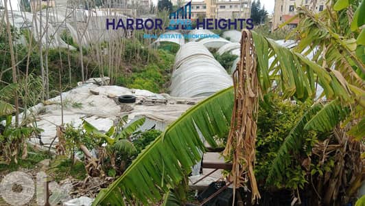 Land for Sale in Jbeil - أرض للبيع في جبيل
