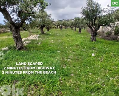 Landscaped Land  Monsef - Batroun/ المنصف - البترون REF#DC134403