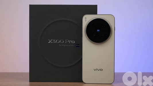 vivo x300pro