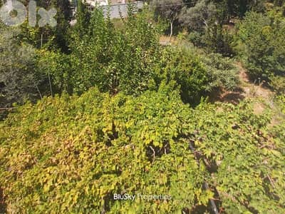 Land For SALE In Halat أرض للبيع #ES