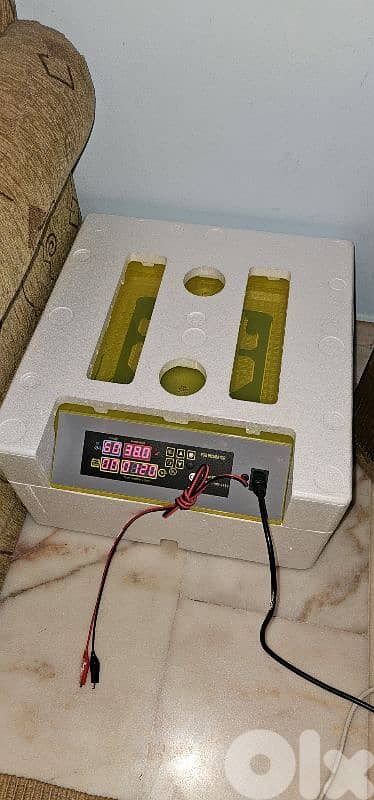 تفقيس بيض سعة ٤٨ بيضة egg hatching service