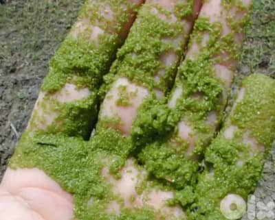 CristalView تنظيف و تعقيم خزانات المياه