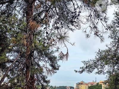 380 SQM Prime Location Land in Qannabet Broumana + Sea & Mountain View