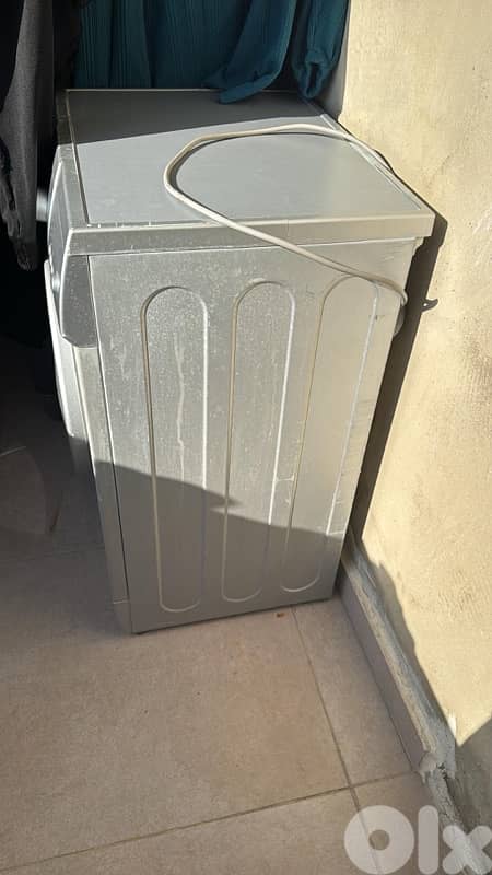 blueberry washing machine for sell 1