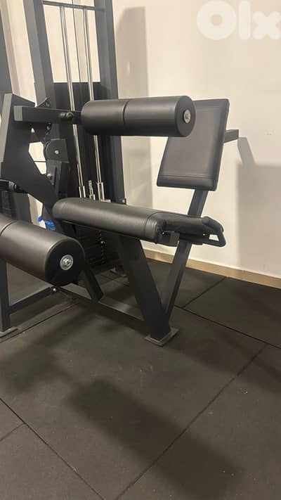 leg extension - curl