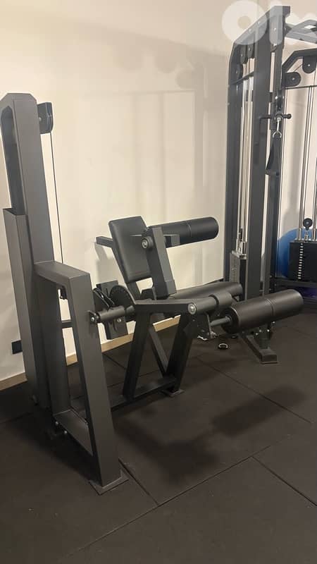 leg extension - curl 1