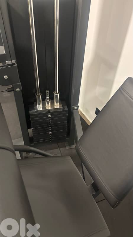 leg extension - curl 2