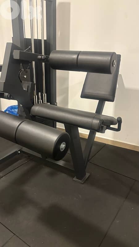 leg extension - curl 3