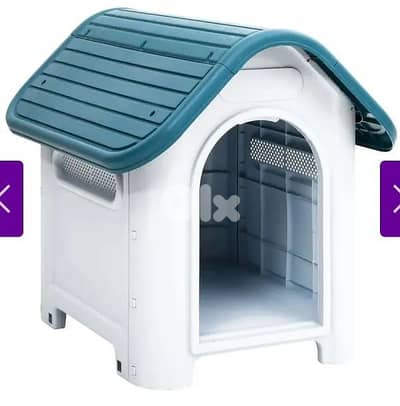 house for dog or cat
