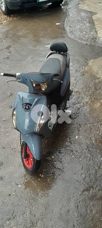 sweet 2024 bewra2 whaweyi 1