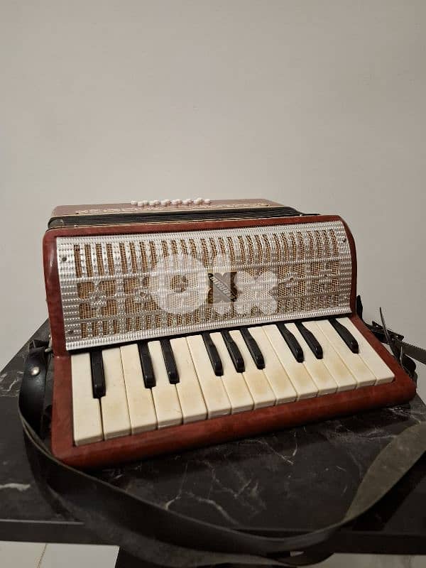 Vintage accordion 2