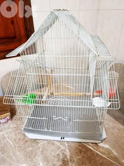 قفص للكروان