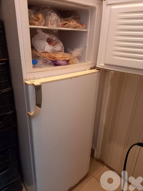 berrad beko berrad pepsi 1