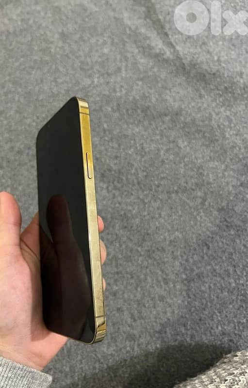 13 pro max storage 256 2