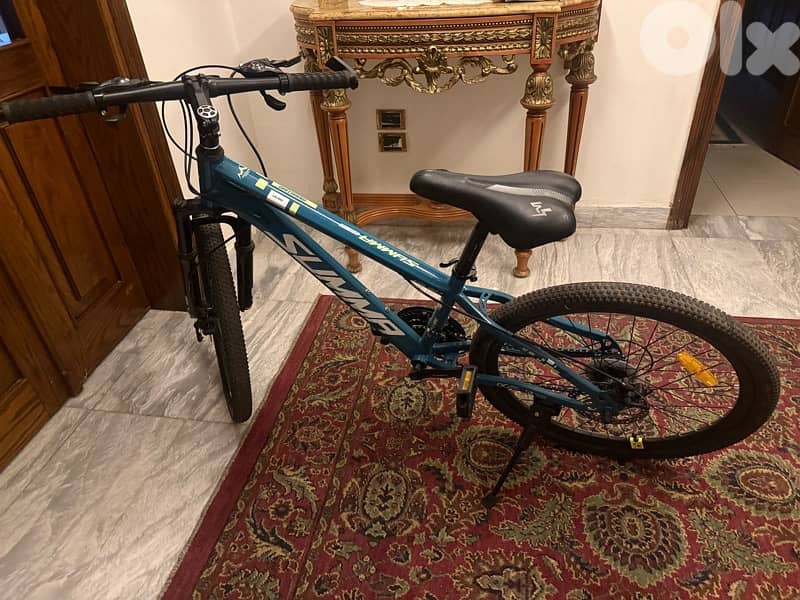 Summa sport pro bike 2