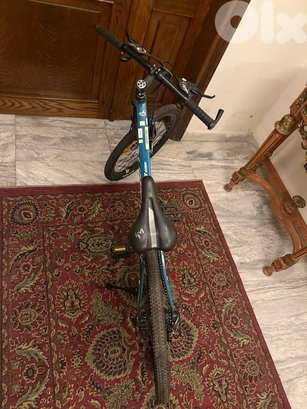 Summa sport pro bike 3