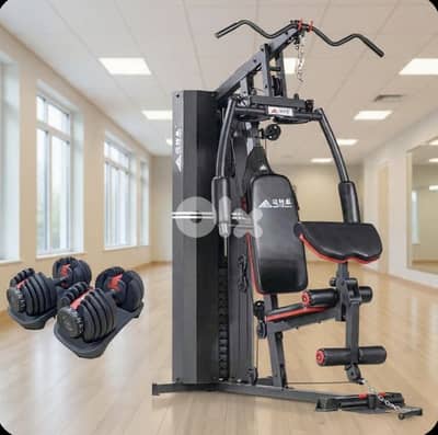 2 items ( home gym + adjustable dumbbells)