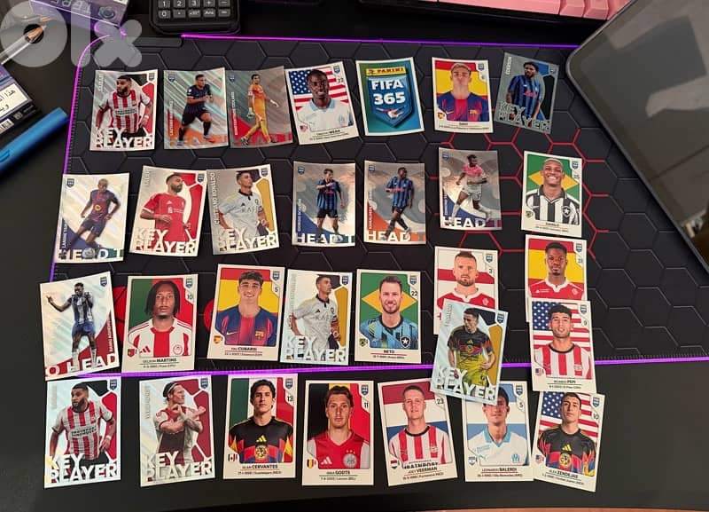 panini 365 stickers 1