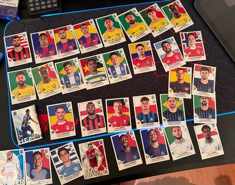 panini 365 stickers 2