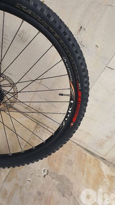 Focus size L/XL (used) 6