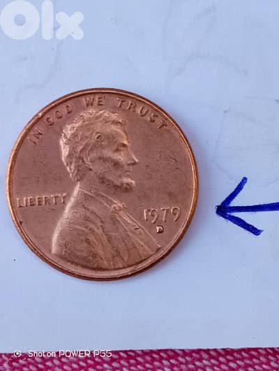 جل الديب المتن