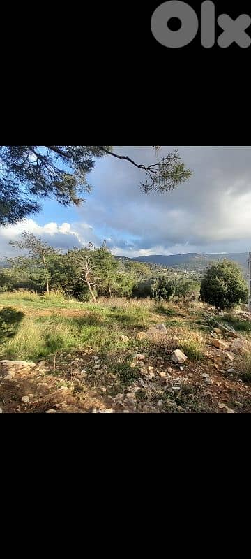 Land for sale in Hamlaya