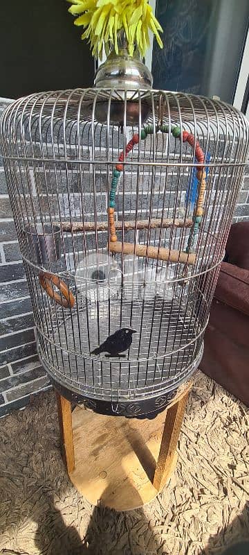 stainless steel cage