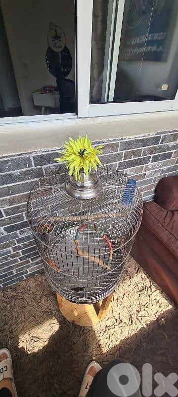 stainless steel cage 1