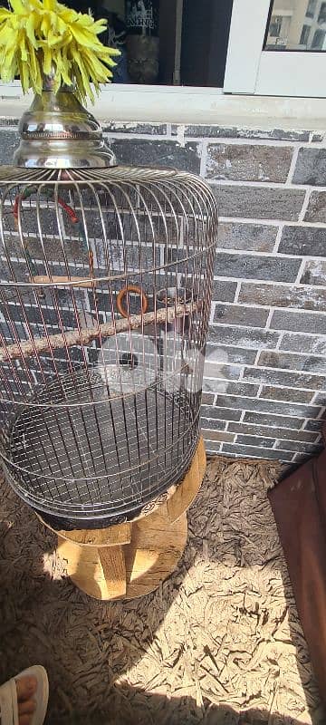 stainless steel cage 2