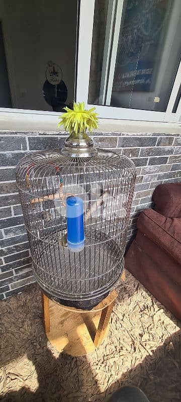 stainless steel cage 3