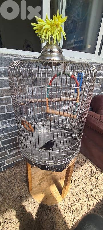 stainless steel cage 4