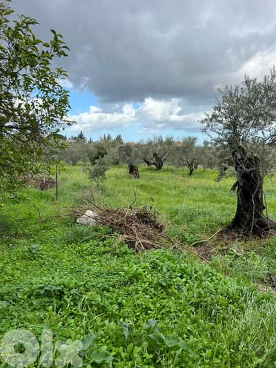 Building with land for sale in Bsebaal مبنى مع أرض للبيع في بسبعل