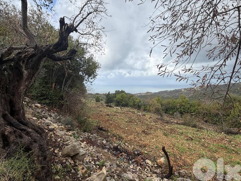L20849 - A 15,380 SQM Land For Sale In Monsef 1
