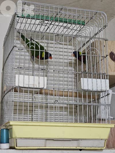 مشروع اليمني خلده