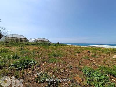 Land For RENT In Halat أرض للإيجار #ES