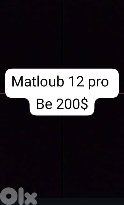 12 pro