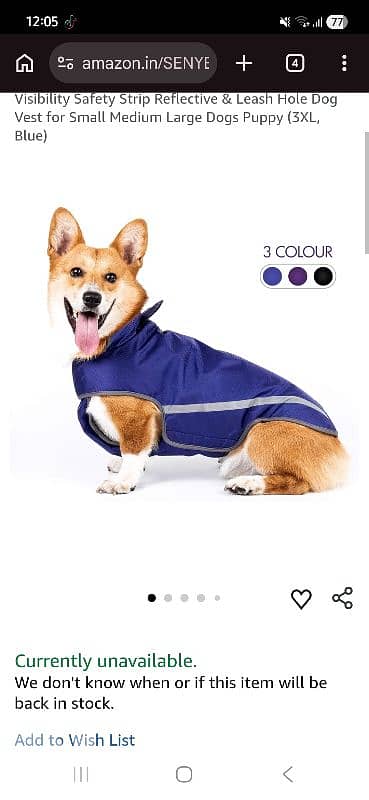 jacket from black doggy