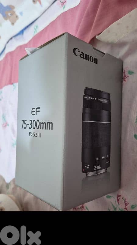 canon Eos 1300d with the lens + another lens canon 75-300mm 4