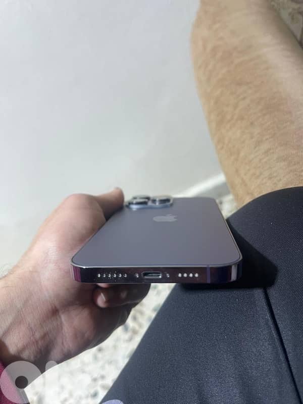 Shawfat Al-Amrousia 2