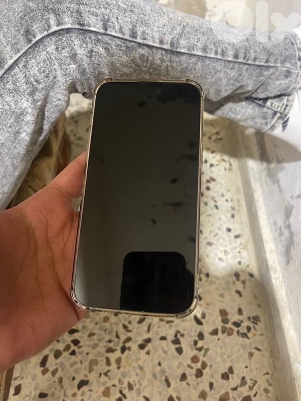 Shawfat Al-Amrousia 4