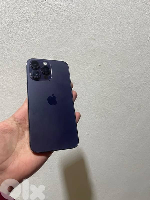 Shawfat Al-Amrousia 6