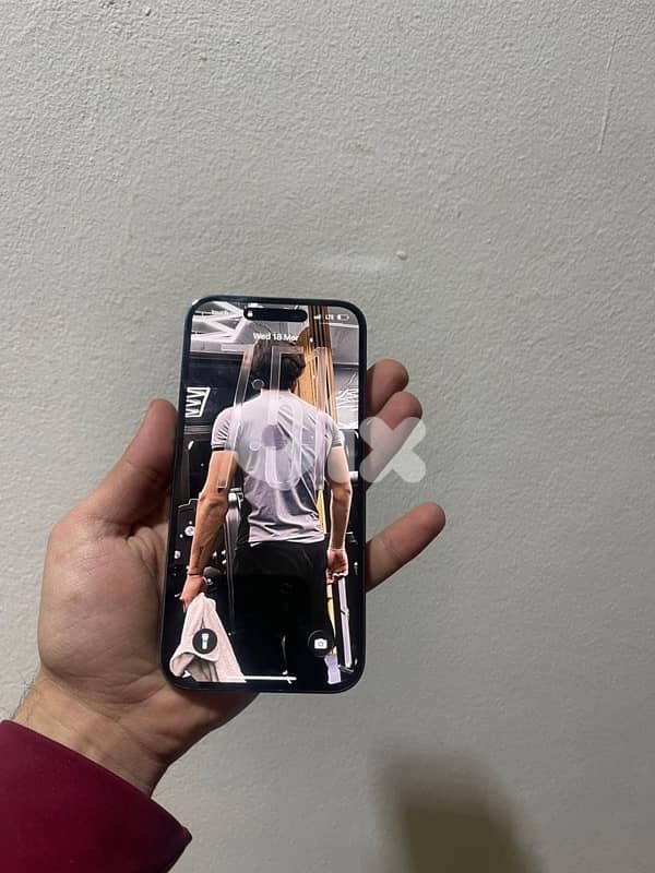 Shawfat Al-Amrousia 7