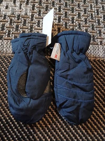 gloves from 3M THINSULATE