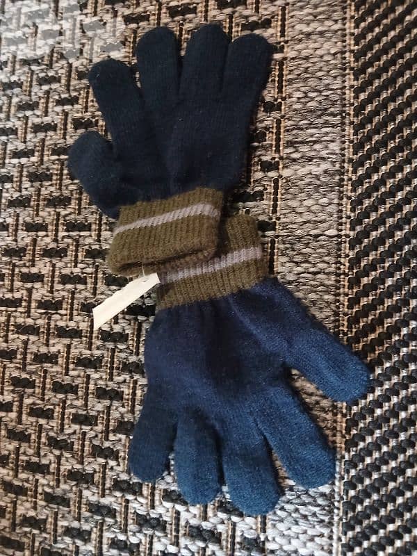 gloves 1