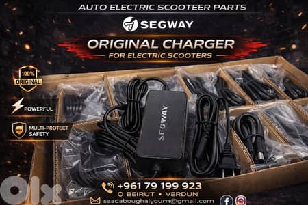electric scooter orginal Segway g30 charger